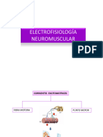 Clase 7 ELECTROFISIOLOGÍA NEUROMUSCULAR