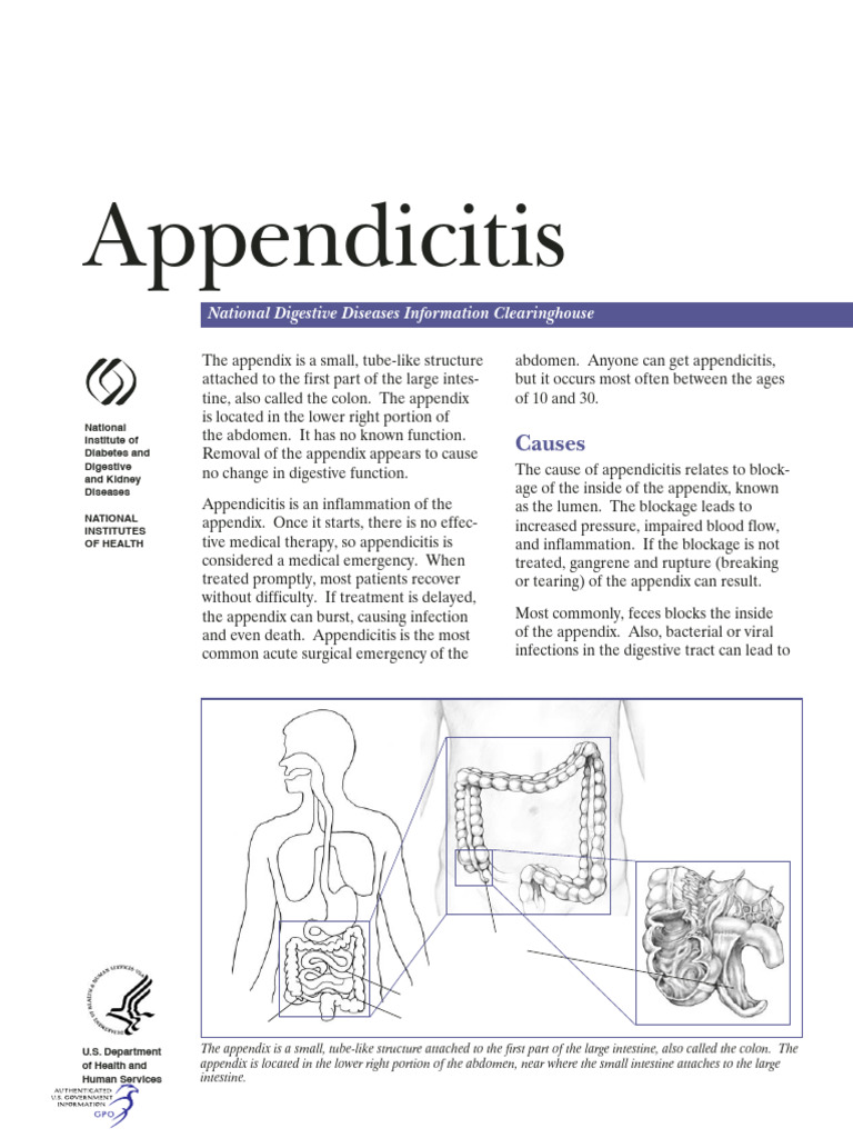 Understanding Appendicitis Symptoms | PDF