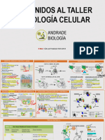 Señalización - Receptores Acoplados A Proteínas G