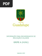 Informacao Ee Gripe a[1]