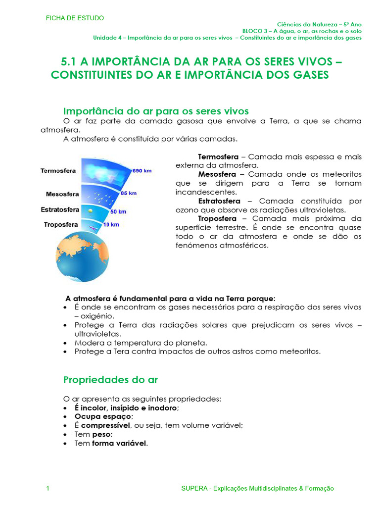 Importância do Ar para os Seres Vivos | PDF | Combustão | Atmosfera