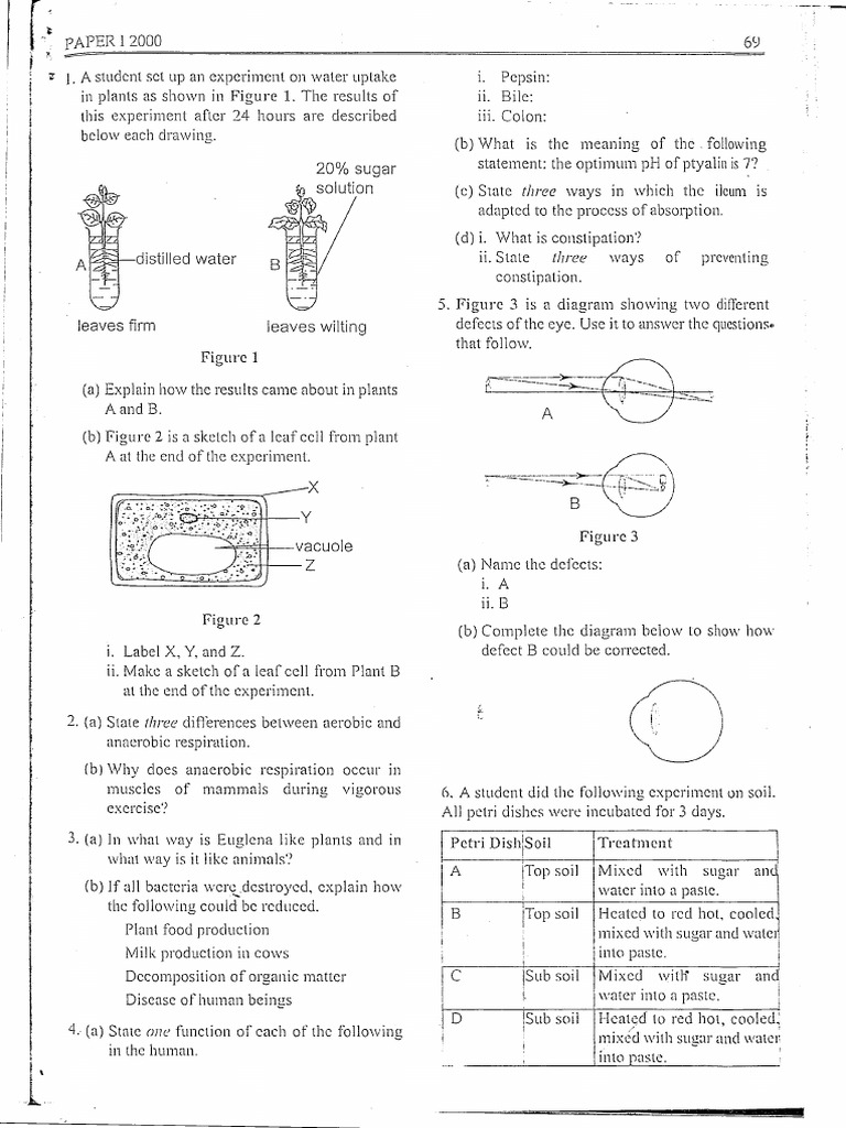 2000msce-bio-paperi-pdf