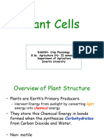 Plant Cell Structure and Function