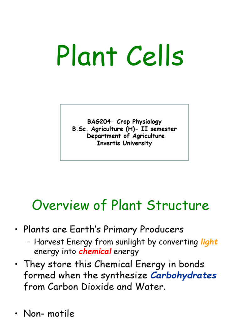 Overview of Plant Cell Structure | PDF | Endoplasmic Reticulum | Cell ...