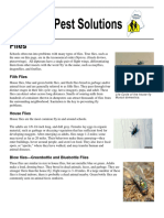 Me School Ipm Factsheet - Flies - 8 15