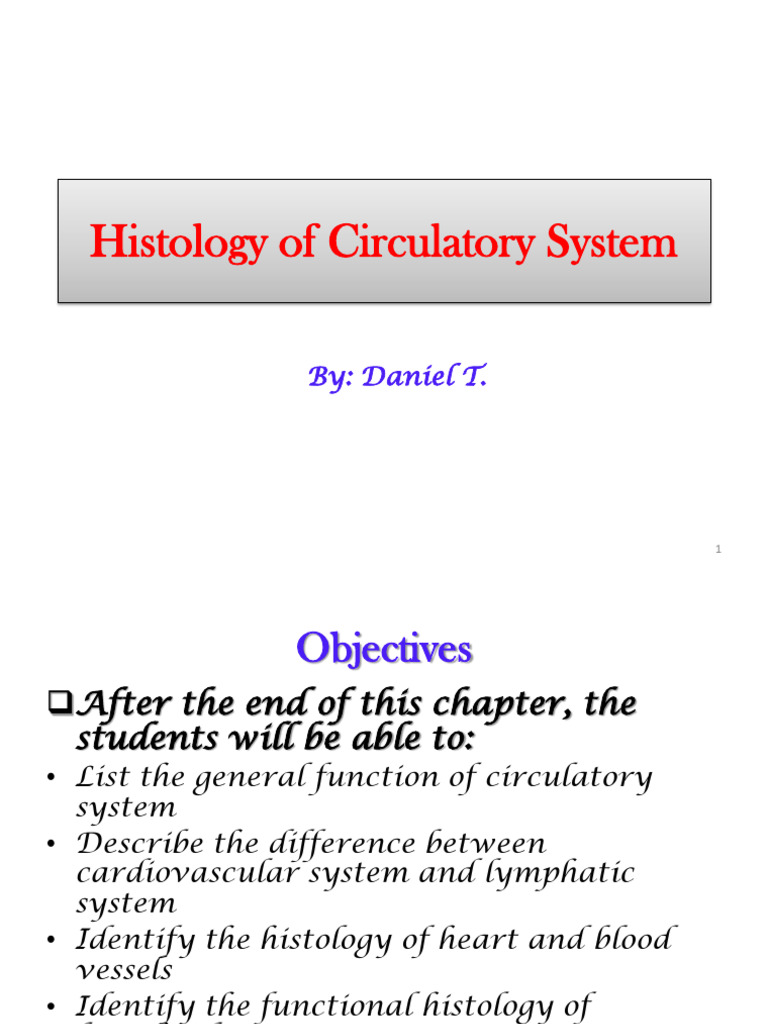 Histology of the Circulatory System | PDF | Artery | Heart