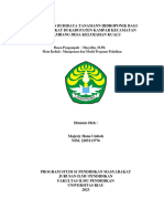 Proposal Program Budidaya Tanaman Hidroponik Di Desa Kelurahan Kualu - Majesty Hana - Penmas22a