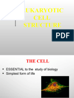 Lecture 2 Cell Structure and Function