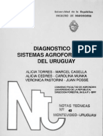 Diagnósticos de SAF en Uruguay