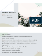 Proiect Didactic