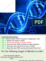CB3b DNA