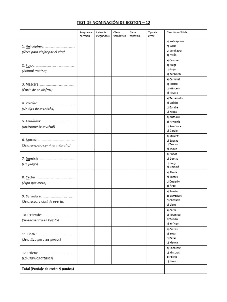 Boston 12 Protocolo PDF