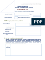 ISST Case Conceptualization Form Portuguese