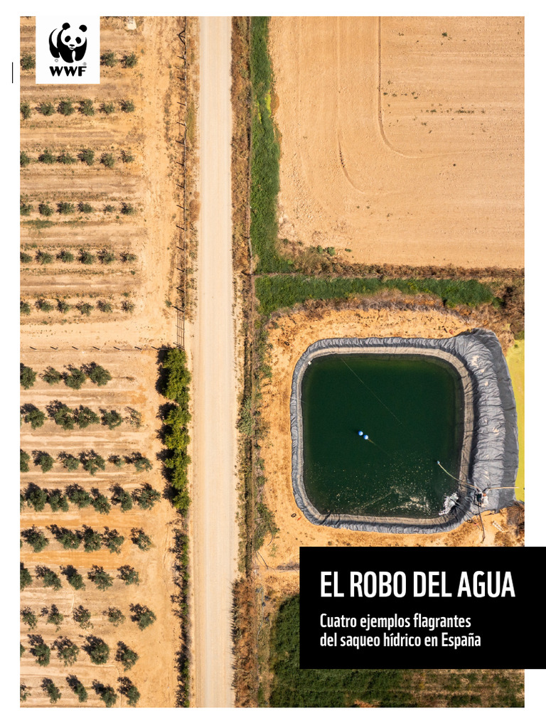El Robo Del Agua WWF Espana | PDF | Agua | Agua subterránea