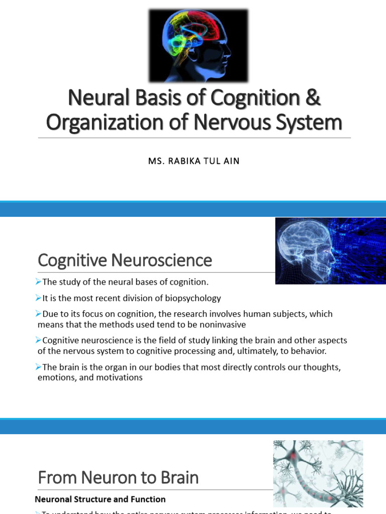 Neural Basis of Cognition & Nervous System | PDF | Axon | Neuron