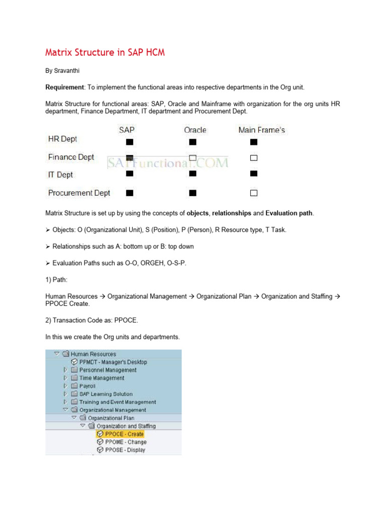 SAP HCM Matrix Structure Setup Guide | PDF | Matrix (Mathematics ...