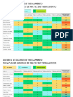 IC Training Matrix Template Sample 11623 - WORD - PT