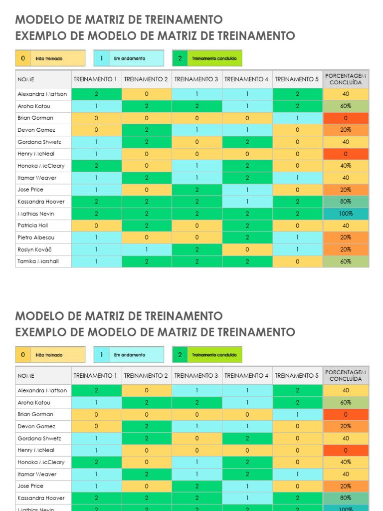 Modelo de Matriz de Treinamento | PDF