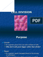 Cell Division