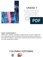 Unidad 7 Neuroanatomia