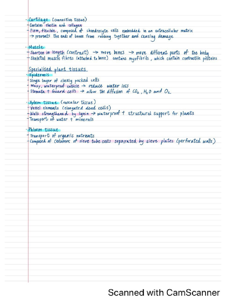 A Level Ocr A Biology Specialised Cells Continued Pdf