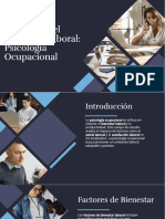 Psicología Ocupacional - 2023