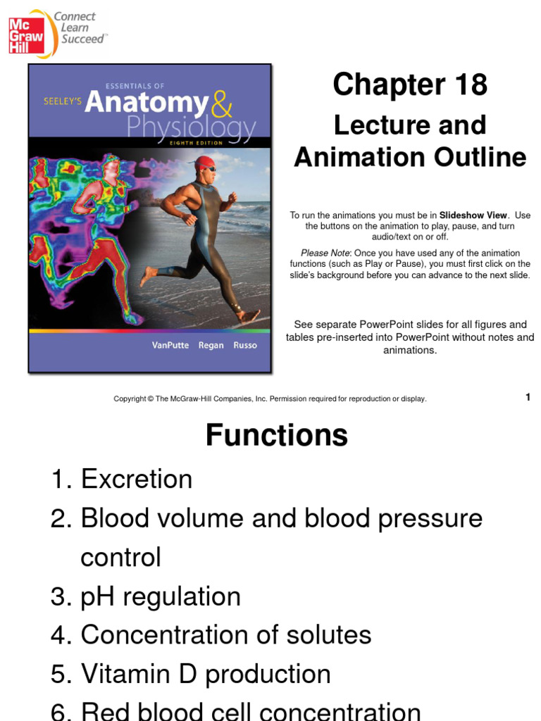 Chapt18 Urinary System Pdf Pdf Kidney Urinary System