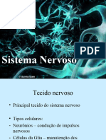 Sistema Nervoso2