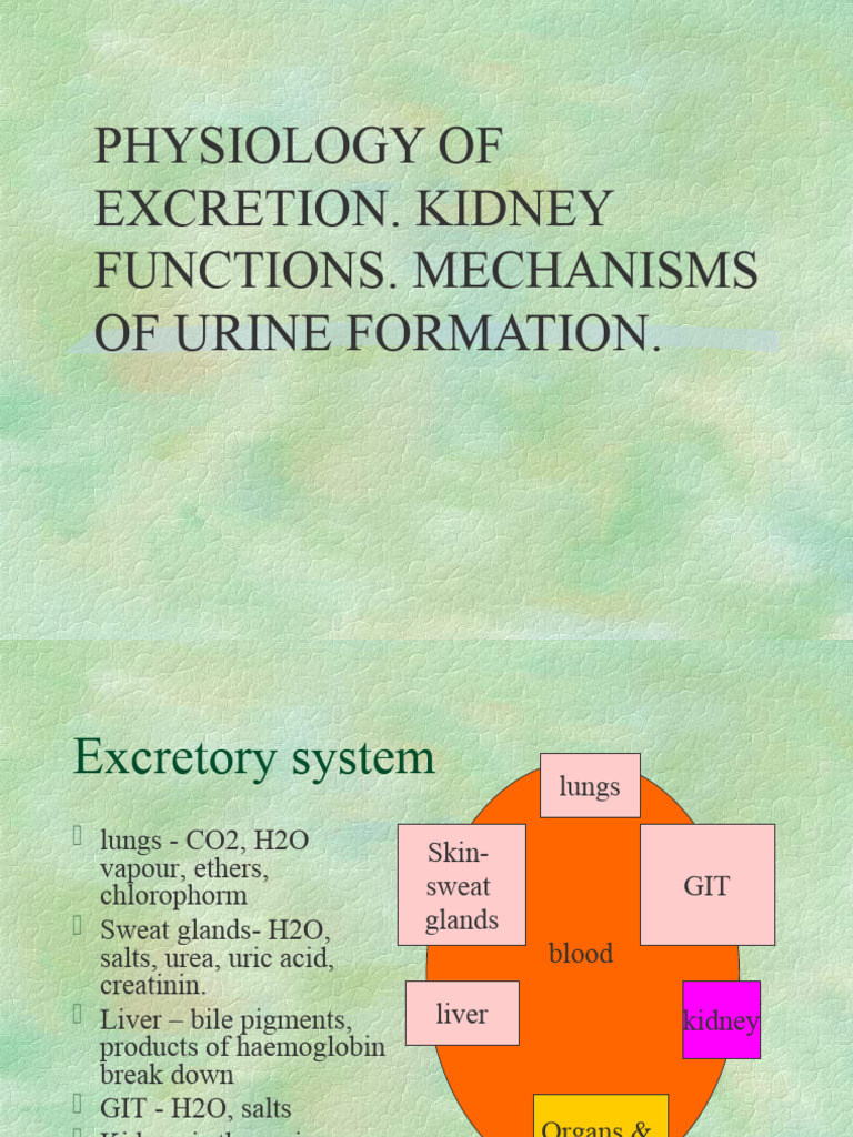 Kidney visual data 4