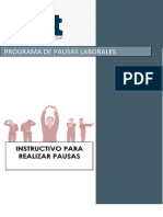 Instructivo de Pausas Laborales (Prot)