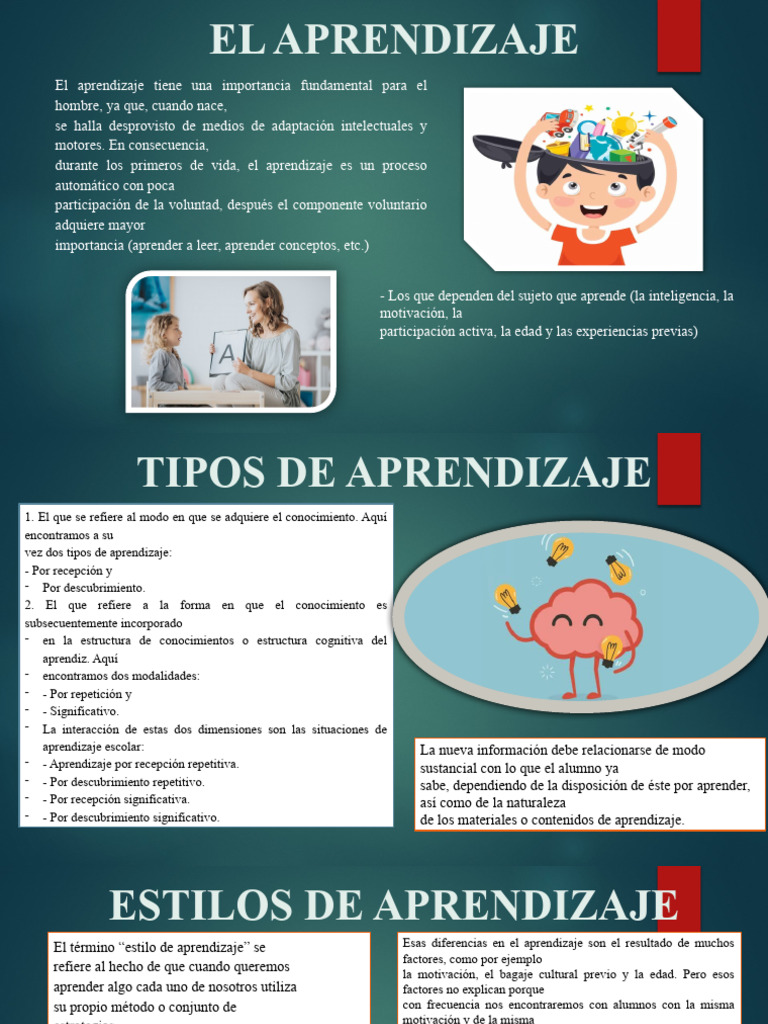 Estilos de Aprendizaje | PDF | Aprendizaje | Inteligencia