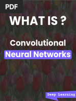 What Is Convolutional Neural Network