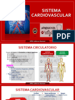 07.1 Aparato Cardiovascular 2024 - PDF