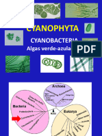 3 Cyanophyta Parte I