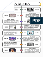 Linea Del Tiempo La Celula