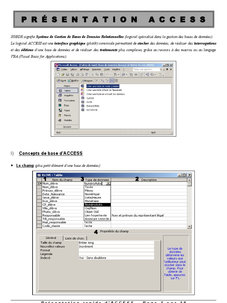 Présentation rapide d'Access | PDF | Visual Basic for Applications ...