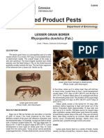 Stored Product Pests: Rhyzopertha Dominica (Fab.)