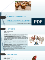 Gallinas Livianas