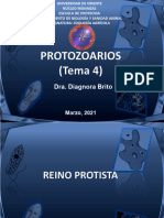 Protozoo4 Def