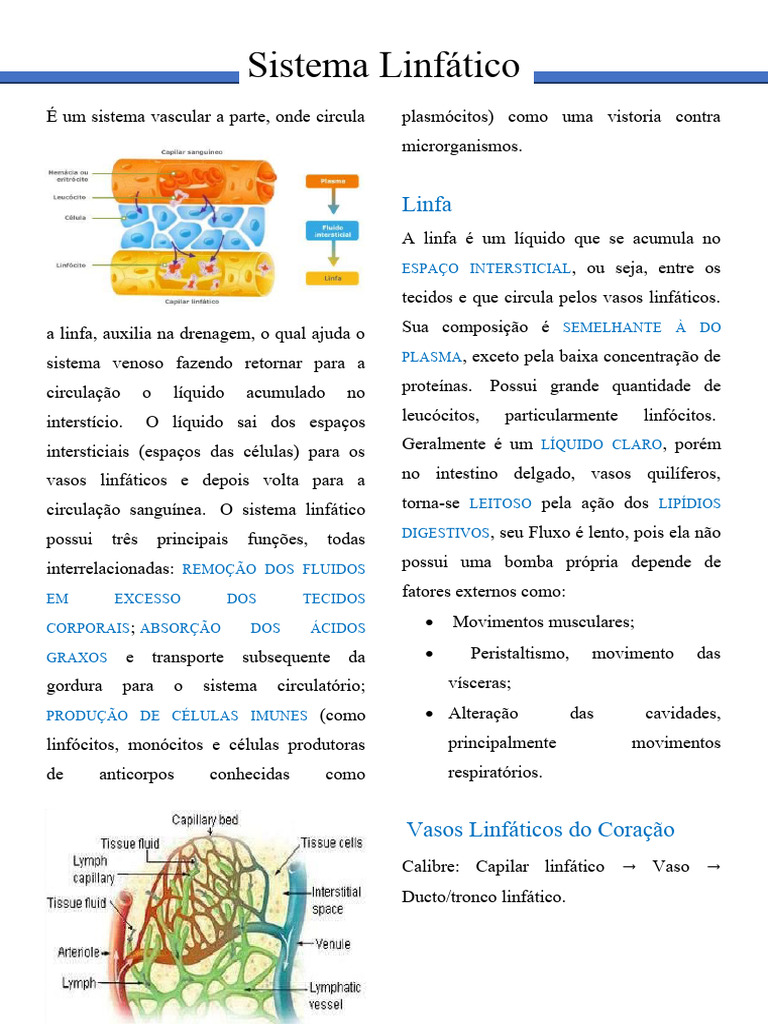Sistema Linfático Download Grátis Pdf Sistema Linfático Sistema