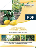 Guia Cultivo Papaya