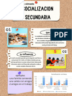 Socializacion Secundaria