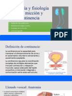 Anatomía y fisiología de la micción y continencia