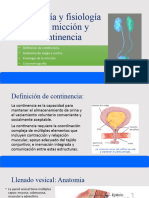 Anatomía y Fisiología de La Micción y Continencia