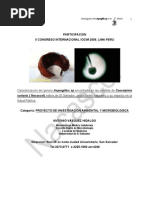 Download Caracterizacion hongo Aspergillus sp  by PhD Antonio Vsquez Hidalgo SN71290034 doc pdf