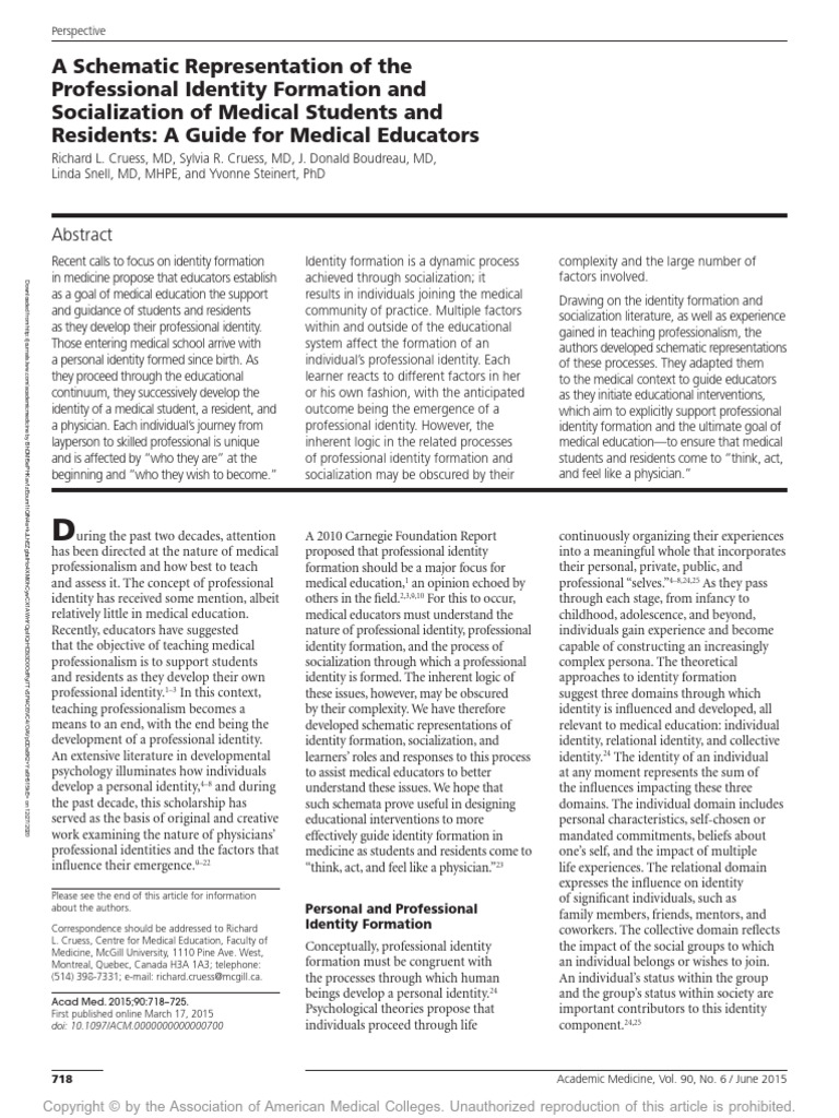 A Schematic Representation of The Professional Identity Formation and ...