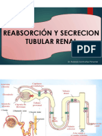 Capitulo 28. Reabsorcion y Secrecion Tubular Renal