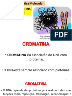 Aula - 4 - Cromatina e Ciclo Celular
