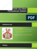 Anatomi Saluran Pernapasan Bawah: Arief Purnama Muharram