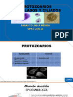 Sem 3 Flagelados y Ciliados